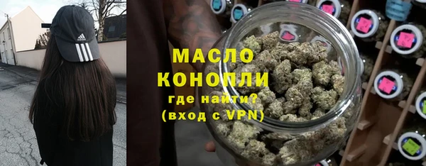 spice Богородицк